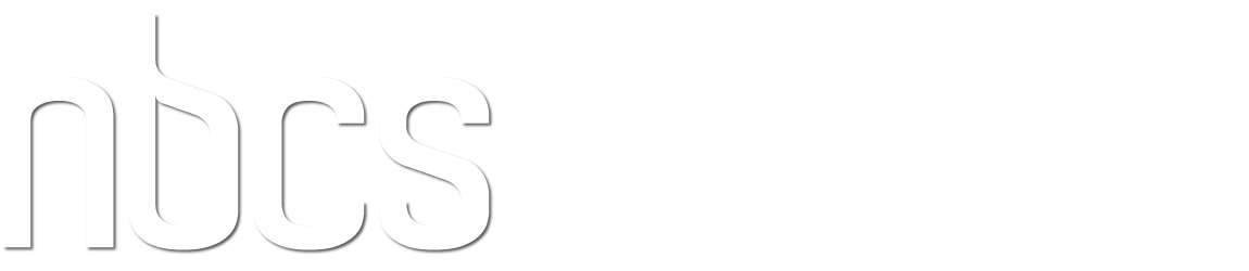 Net Business Consulting & Solutions, LLC